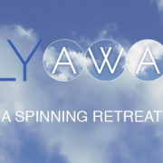 Link to PLY Away