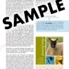 Fourth Page Vertical Ad - No Bleed