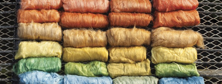 silk types (bombyx, eri, muga, tussah) showing different natural dyes