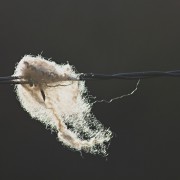 A lock in the wind
