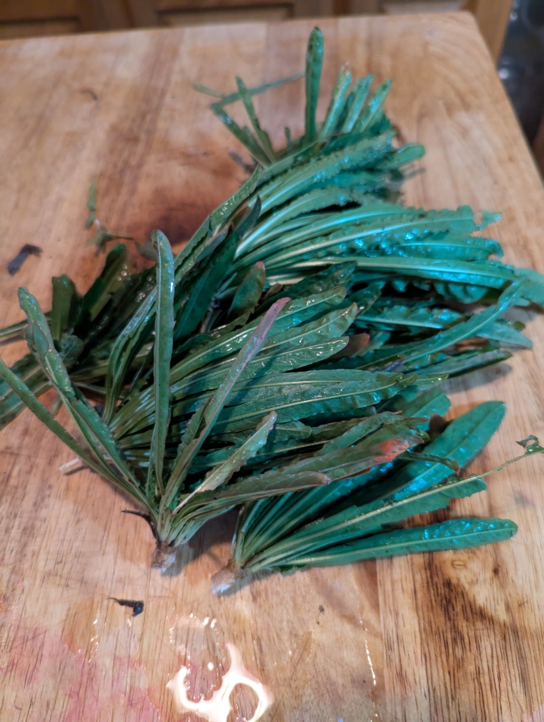 weld leaves